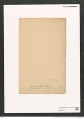 Pleurosigma stuxbergii Cl. et Gr. (de-Toni-Nr.: Genus 13, Species 1053) Zeichnungen Sammlung Grunow (NHMW-BOT-W0369006)